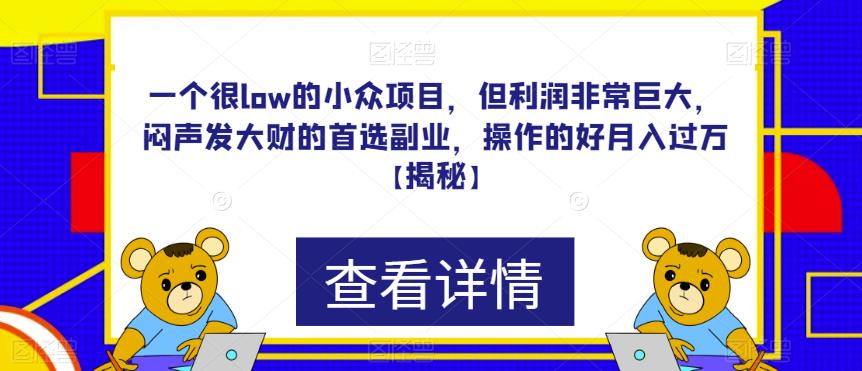 （4835期）一个很low的小众项目，但利润非常巨大，闷声发大财的首选副业，操作的好月入过万【揭秘】 网赚项目 第1张