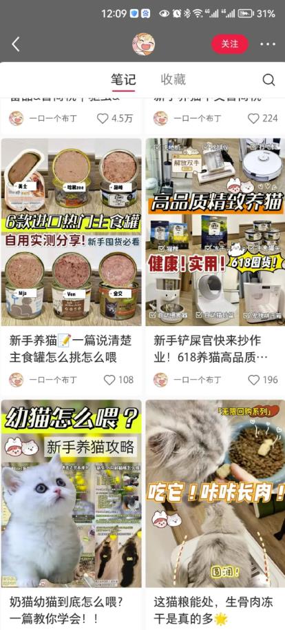 长期稳定玩法，副业每月收益6000+，小红书宠物赛道！ 网赚项目 第3张
