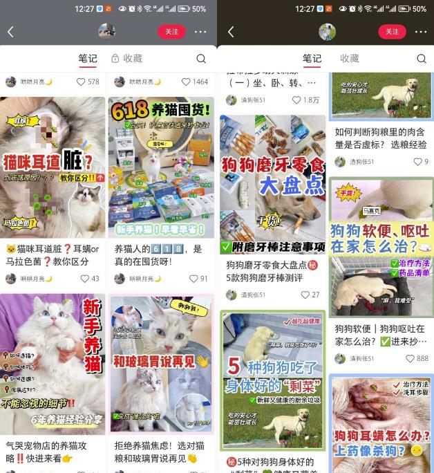 长期稳定玩法，副业每月收益6000+，小红书宠物赛道！ 网赚项目 第7张
