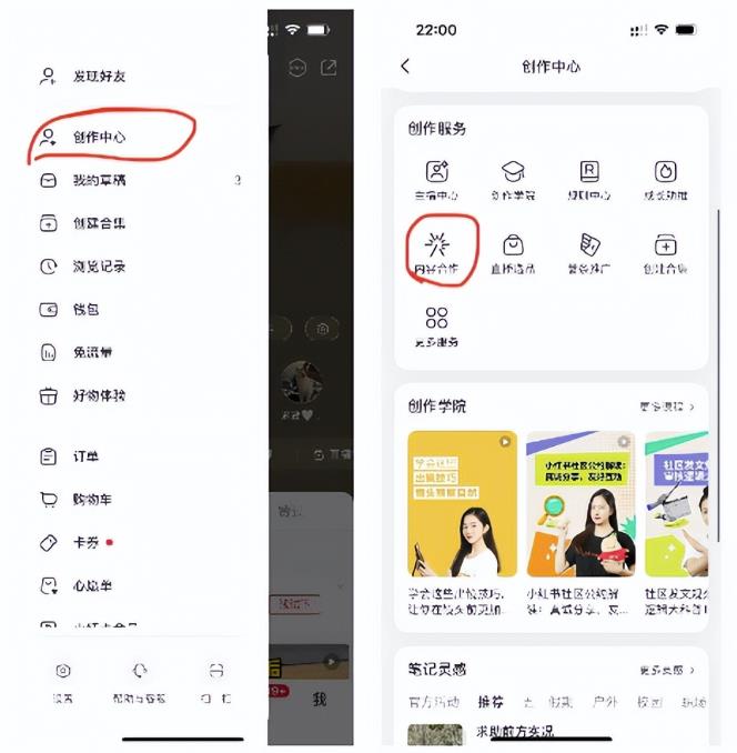 长期稳定玩法，副业每月收益6000+，小红书宠物赛道！ 网赚项目 第8张
