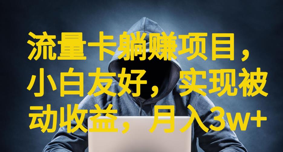 （4863期）流量卡躺赚项目，小白友好，开设后台，实现被动收益，只要出卡，就能一直赚钱，利润高昂【揭秘】 网赚项目 第1张