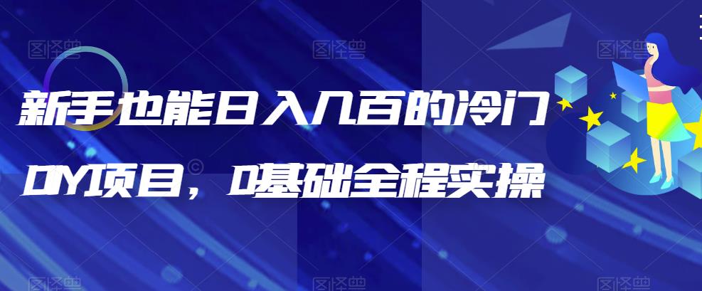 （4881期）新手也能日入几百的冷门DIY项目，0基础全程实操【揭秘】 网赚项目 第1张