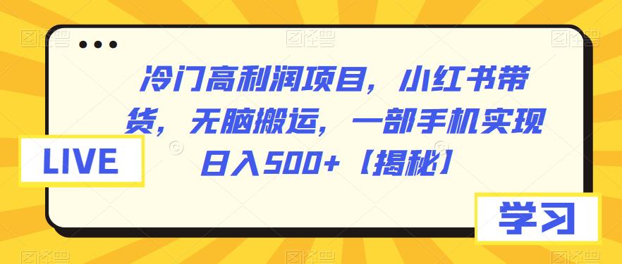 （4893期）冷门高利润项目，小红书带货，无脑搬运，一部手机实现日入500+【揭秘】 网赚项目 第1张