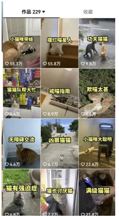 （4953期）拆解抖音盘点类中视频变现副业项目，视频版一条龙大解析分享给你【视频课程】 短视频运营 第3张
