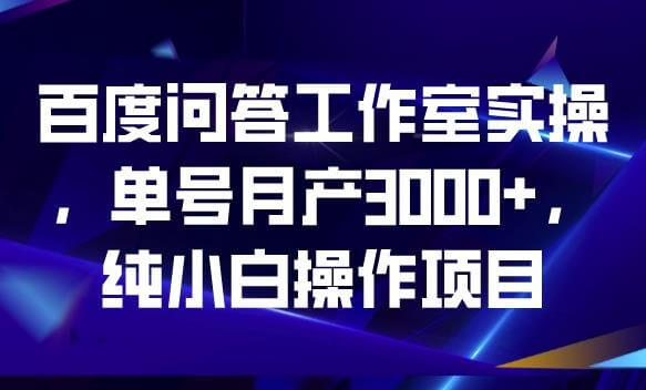 （5041期）百度问答工作室实操，单号月产3000+，纯小白操作项目【揭秘】 网赚项目 第1张