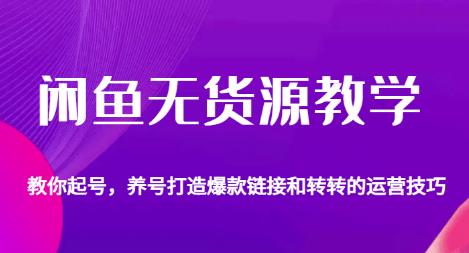 （5078期）闲鱼无货源教学，教你起号，养号打造爆款链接以及转转的运营技巧 电商运营 第1张