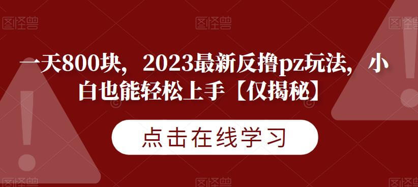 （5147期）一天800块，2023最新反撸pz玩法，小白也能轻松上手【仅揭秘】 综合教程 第1张