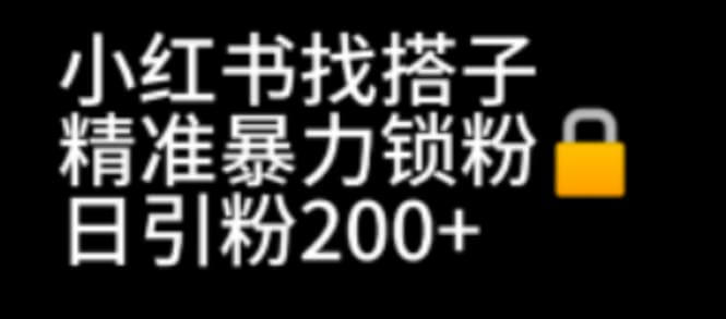 （5162期）小红书找搭子暴力精准锁粉+引流日引200+精准粉 爆粉引流软件 第1张