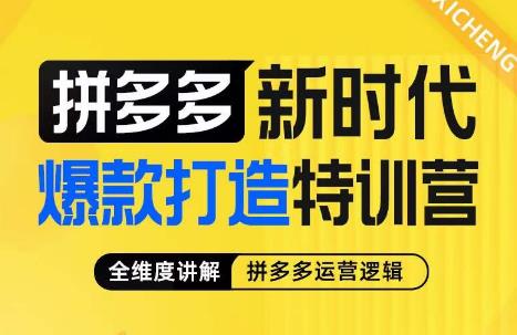 （5198期）玺承·拼多多新时代爆款打造特训营，全维度讲解拼多多运营逻辑 电商运营 第1张