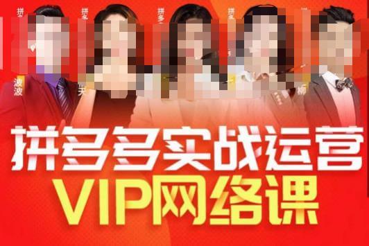 （5199期）推易拼多多VIP全套直播课程，拼多多店铺实操玩法+实战玩法选款内功+直通车高阶等 电商运营 第1张