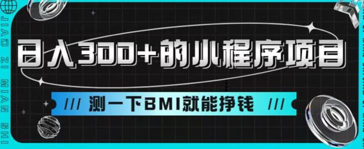 （5272期）日入300+的小程序项目，测一下BMI就能挣钱【揭秘】 网赚项目 第1张