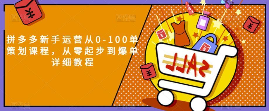 （5278期）拼多多新手运营从0-100单策划课程，从零起步到爆单详细教程 电商运营 第1张