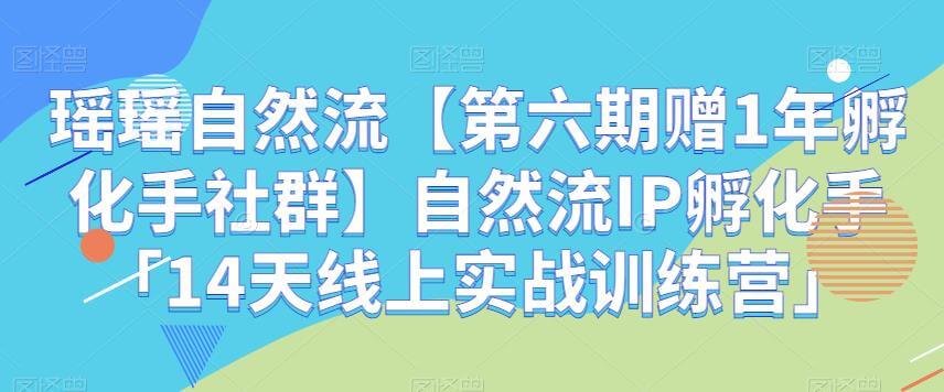 （5280期）瑶瑶自然流【第六期赠1年孵化手社群】自然流IP孵化手「14天线上实战训练营」 短视频运营 第1张