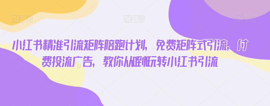 （5298期）小红书精准引流矩阵陪跑计划，免费矩阵式引流，付费投流广告，教你从0到1玩转小红书引流 新媒体 第1张