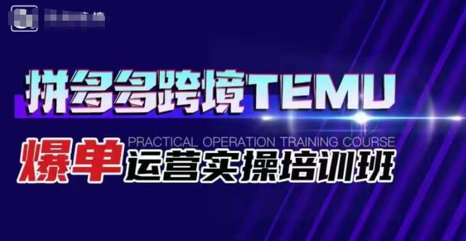 （5304期）拼多多跨境TEMU爆单运营实操培训班，海外拼多多的选品、运营、爆单 电商运营 第1张