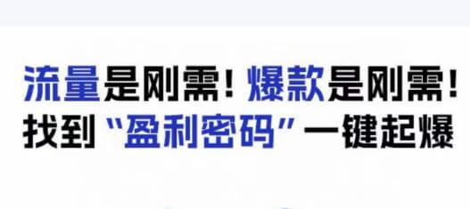 （5318期）电商盈利精品课：6大盈利密码让产品更好卖，流量是刚需！爆款是刚需！找到”盈利密码”一键起爆 电商运营 第1张