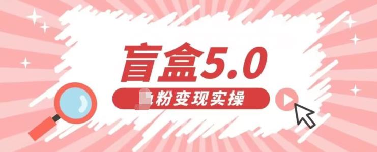 （5325期）盲盒交友5.0，男粉变现实操项目，亲测变现效果极好【揭秘】 网赚项目 第1张