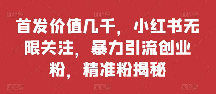 （5384期）首发价值几千，小红书无限关注，暴力引流创业粉，精准粉揭秘 爆粉引流软件 第1张