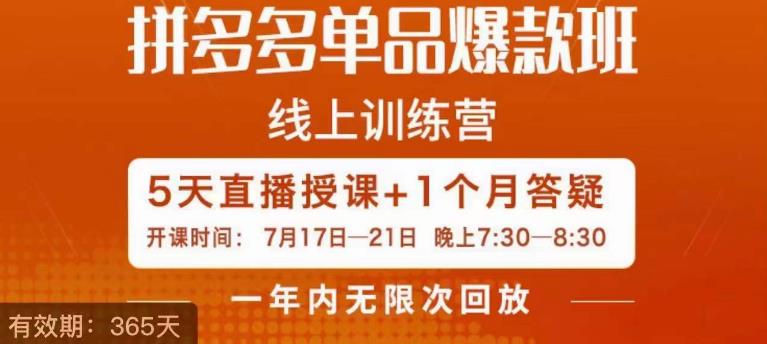 （5416期）钟辰·拼多多单品爆款班，一个拼多多超级爆款养一个团队 电商运营 第1张