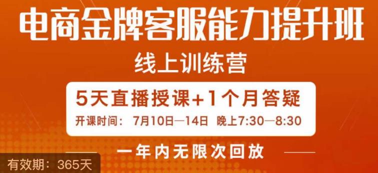 （5428期）电商金牌客服能力提升班，提升客服能力是你店铺业绩的关键要素 电商运营 第1张