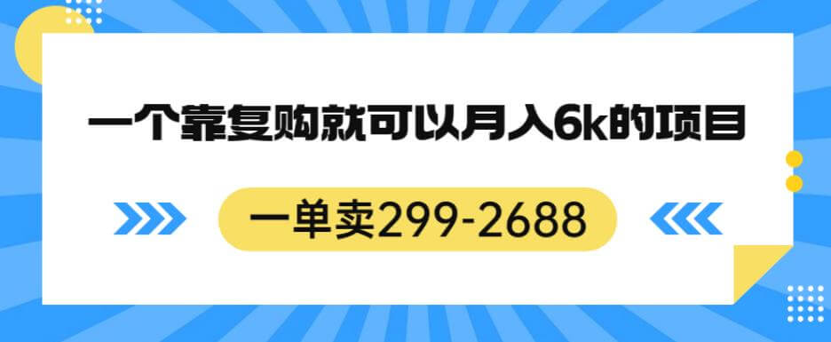 （5442期）一单卖299-2688，一个靠复购就可以月入6k的暴利项目【揭秘】 网赚项目 第1张