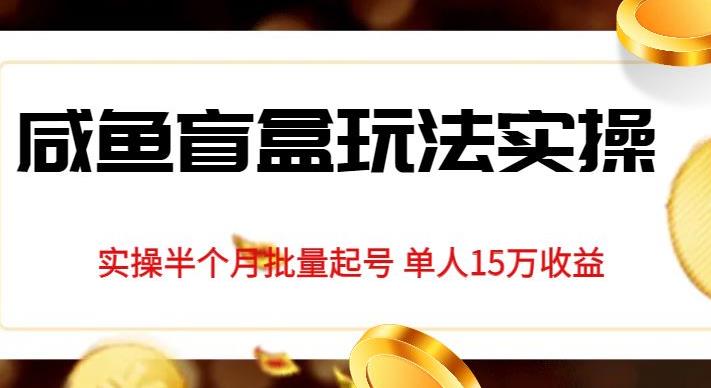 （5463期）独家首发咸鱼盲盒玩法实操，半个月批量起号单人15万收益【揭秘】 网赚项目 第1张