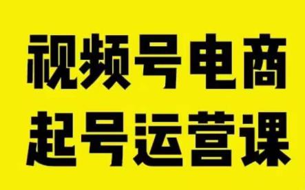 （5516期）视频号电商起号运营课，教新人如何自然流起号，助力商家0-1突破 电商运营 第1张