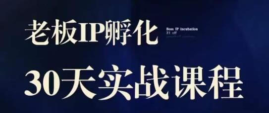 （5527期）诸葛·2023老板IP实战课，实体同城引流获客，IP孵化必听 综合教程 第1张