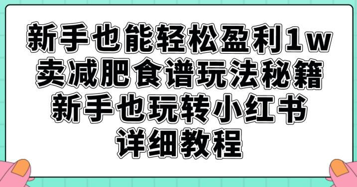 （5679期）新手也能轻松盈利1w，卖减肥食谱玩法秘籍，新手也玩转小红书详细教程【揭秘】 网赚项目 第1张