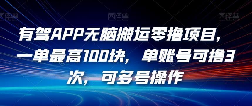 （5734期）有驾APP无脑搬运零撸项目，一单最高100块，单账号可撸3次，可多号操作【揭秘】 网赚项目 第1张