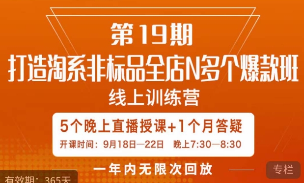 （5816期）打造淘系非标全店N多个爆款线上课，​5天直播课 电商运营 第1张