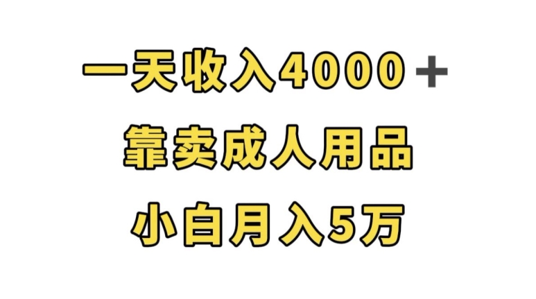 （5887期）一天收入4000+，靠卖成人用品，小白轻松月入5万【揭秘】 网赚项目 第1张