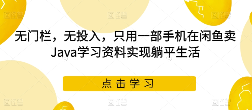 （5896期）无门栏，无投入，只用一部手机在闲鱼卖Java学习资料实现躺平生活【揭秘】 网赚项目 第1张