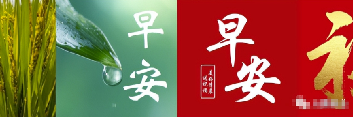 7天破万粉，视频号爆款内容涨粉变现保姆级实操教程 网赚项目 第5张