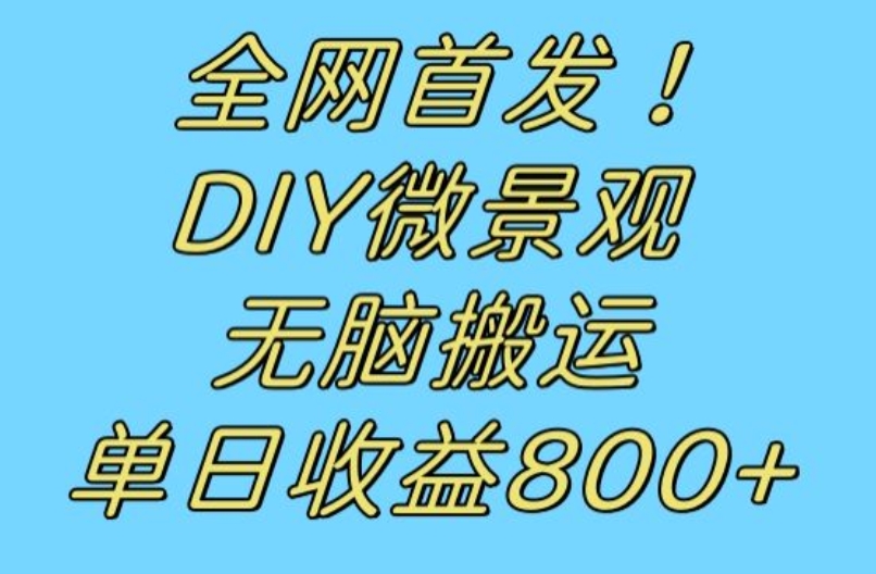 （5942期）全网首发冷门赛道！DIY微景观，无脑搬运视频，日收益800+【揭秘】 短视频运营 第1张