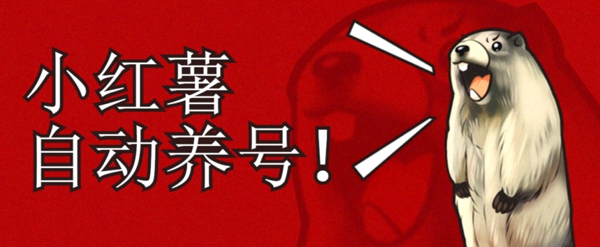 （5943期）小红书养号秘籍，如何自动涨粉清晰系统标签打造高权重账号【揭秘】 短视频运营 第1张