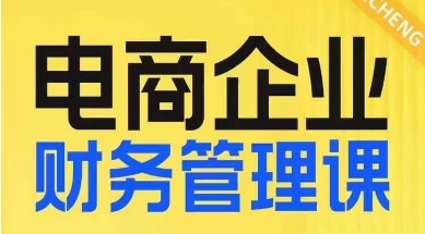 （6028期）电商企业财务管理线上课，为电商企业规划财税 电商运营 第1张