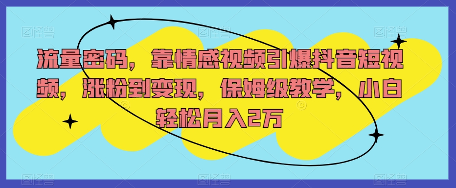 （6079期）流量密码，靠情感视频引爆抖音短视频，涨粉到变现，保姆级教学，小白轻松月入2万【揭秘】 短视频运营 第1张