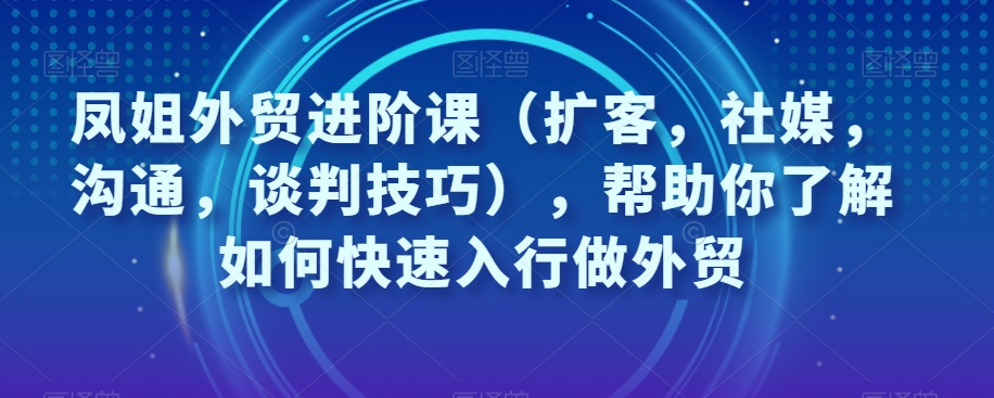 （6181期）凤姐外贸进阶课（扩客，社媒，沟通，谈判技巧），帮助你了解如何快速入行做外贸 电商运营 第1张