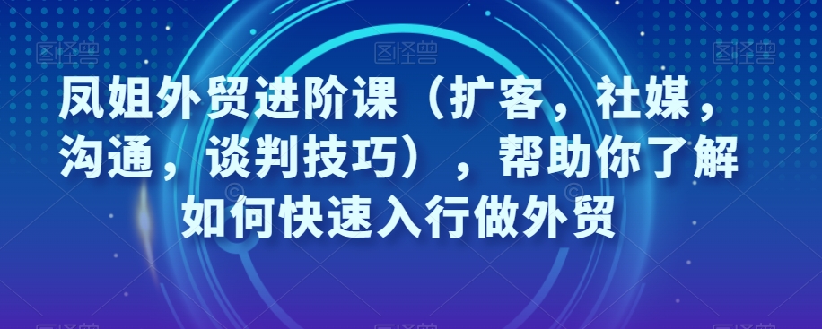 （6181期）凤姐外贸进阶课（扩客，社媒，沟通，谈判技巧），帮助你了解如何快速入行做外贸 电商运营 第1张