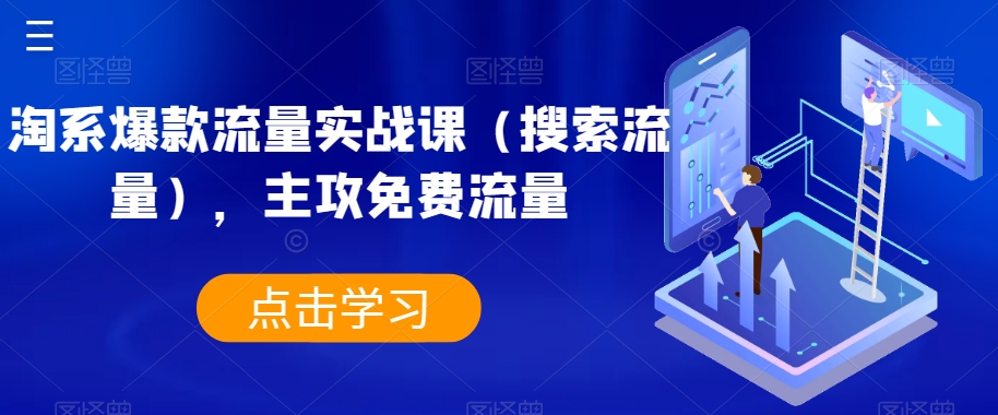 （6191期）淘系爆款流量实战课（搜索流量），主攻免费流量 电商运营 第1张