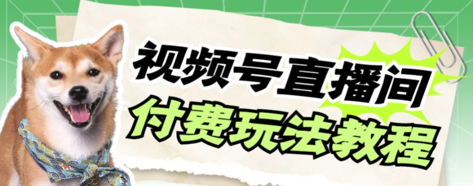 （6198期）视频号美女付费无人直播，轻松日入500+【详细玩法教程】 短视频运营 第1张