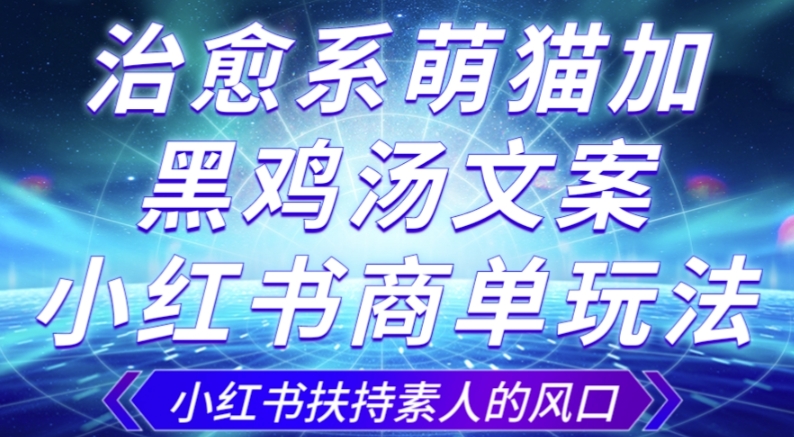 （6223期）治愈系萌猫加+黑鸡汤文案，小红书商单玩法，3~10天涨到1000粉，一单200左右 网赚项目 第1张