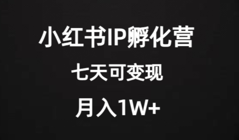（6237期）价值2000+的小红书IP孵化营项目，超级大蓝海，七天即可开始变现，稳定月入1W+ 短视频运营 第1张
