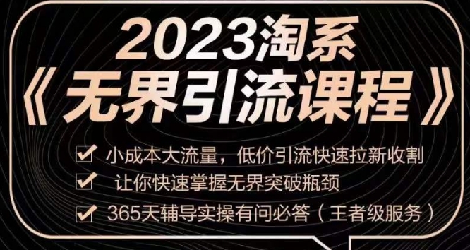 （6239期）2023淘系无界引流实操课程，​小成本大流量，低价引流快速拉新收割，让你快速掌握无界突破瓶颈 电商运营 第1张