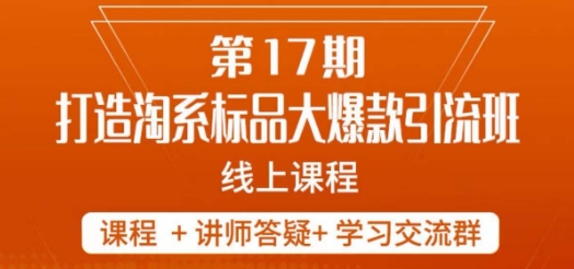 （6245期）南掌柜-第17期打造淘系标品大爆款，5天线上课 电商运营 第1张