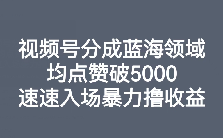 （6252期）视频号分成蓝海领域，均点赞破5000，速速入场暴力撸收益 短视频运营 第1张