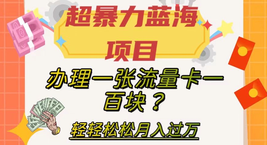 （6253期）超暴力蓝海项目，办理一张流量卡一百块？轻轻松松月入过万，保姆级教程【揭秘】 网赚项目 第1张