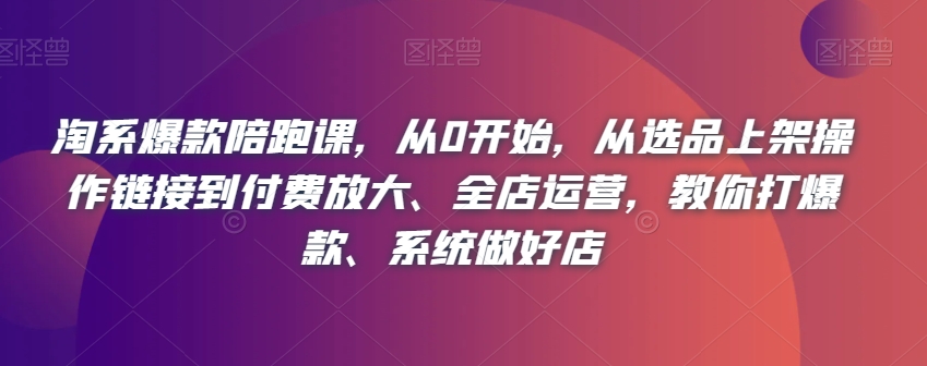 （6292期）淘系爆款陪跑课，从0开始，从选品上架操作链接到付费放大、全店运营，教你打爆款、系统做好店 电商运营 第1张