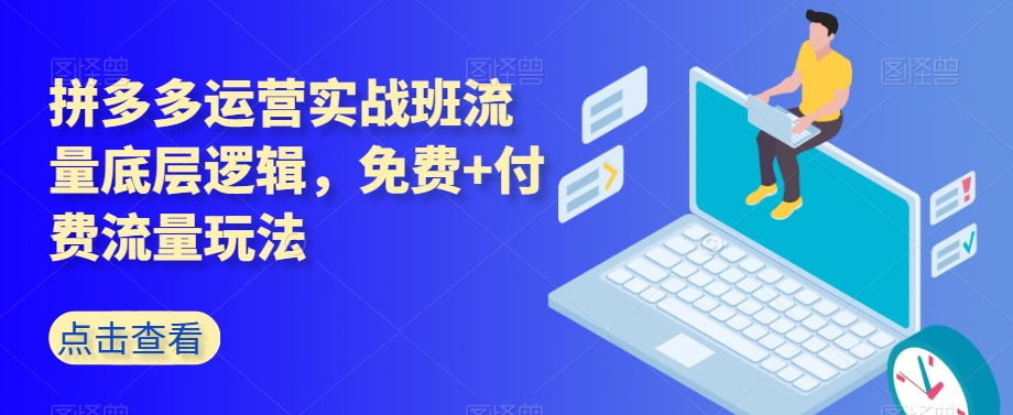 （6383期）拼多多运营实战班流量底层逻辑，免费+付费流量玩法 电商运营 第1张